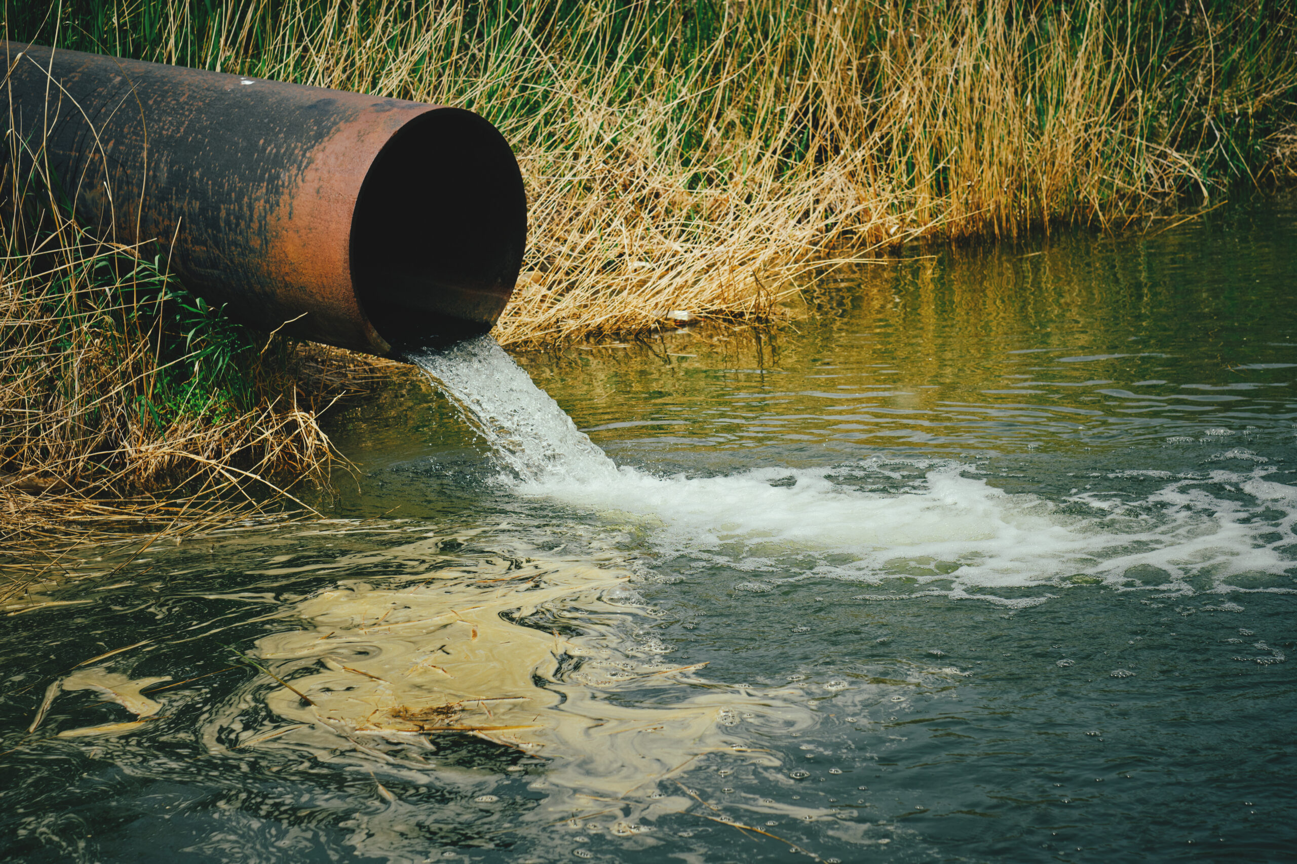 Water Pollution